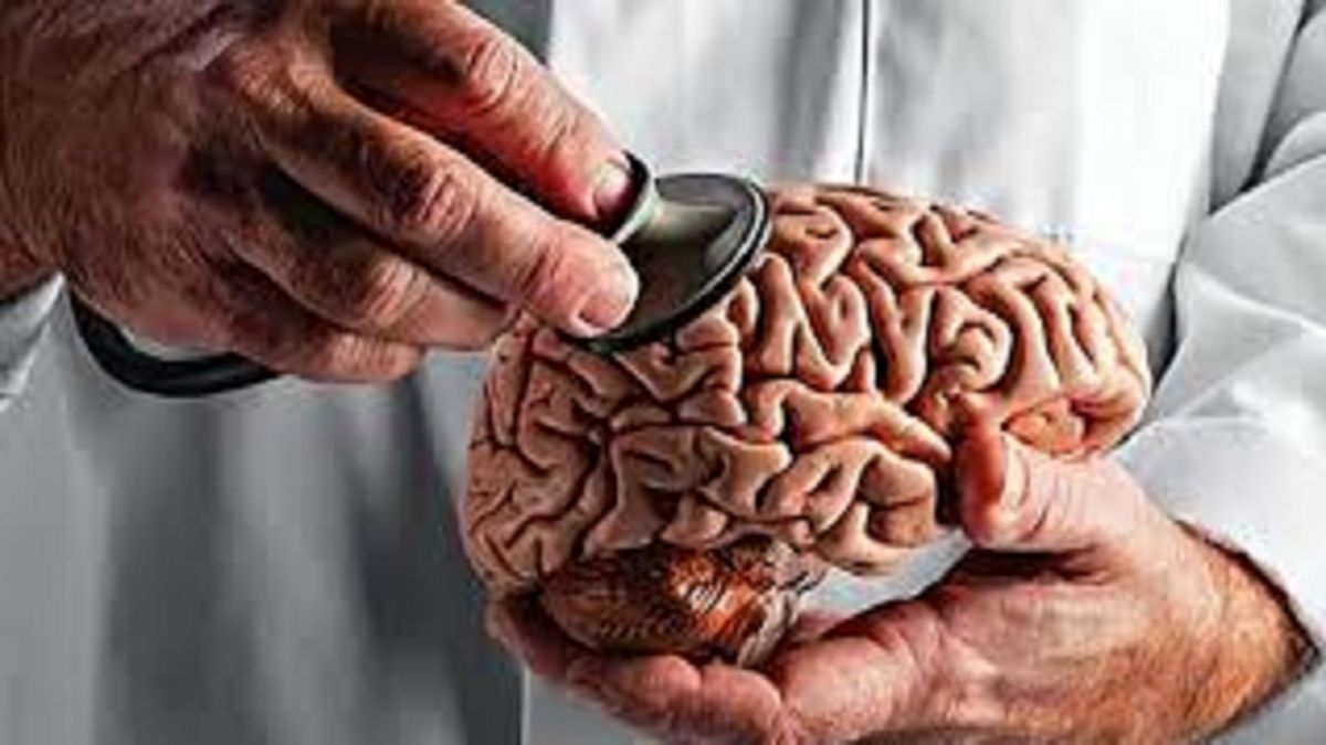 مغز اول انسان در سر است یا روده؟