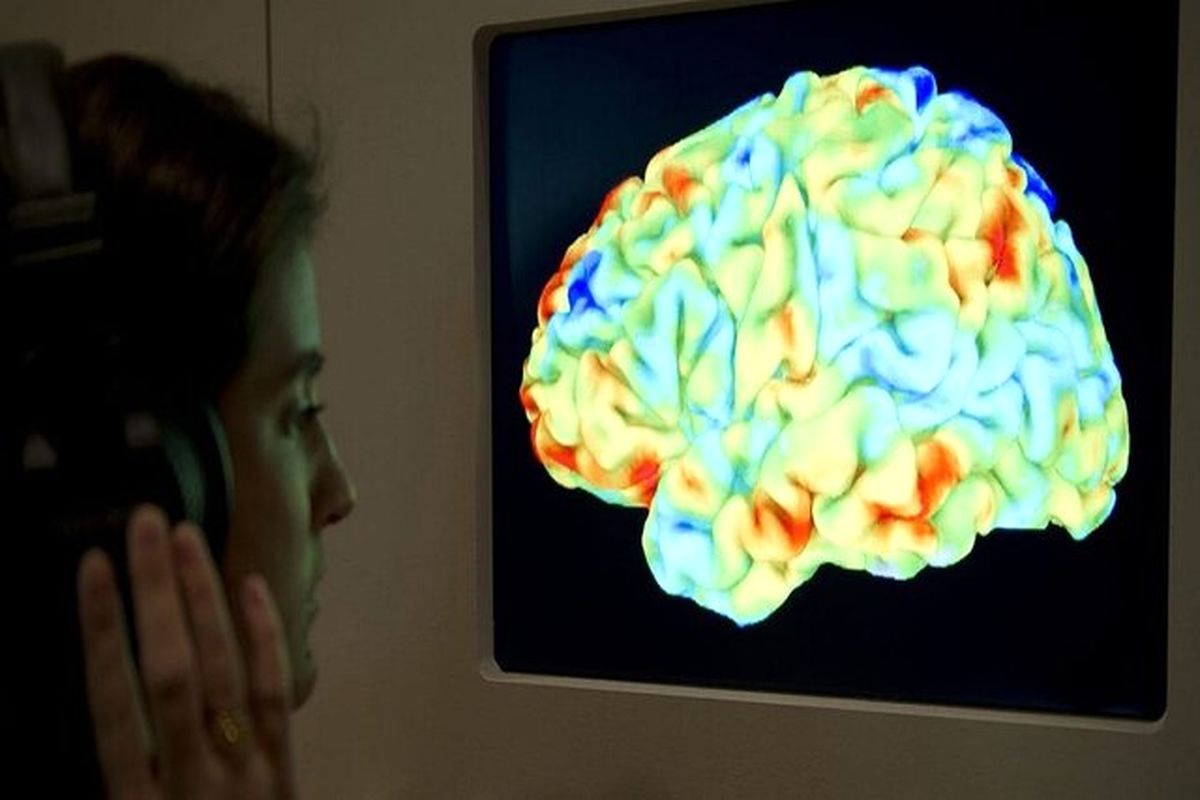 شناسایی نقش جدید ماده سفید مغز 