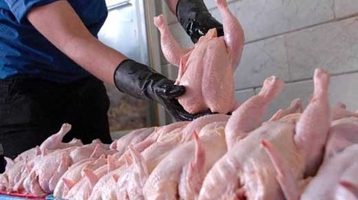 فروش مرغ با قیمت بیش از ۶۳ هزار تومان تخلف است