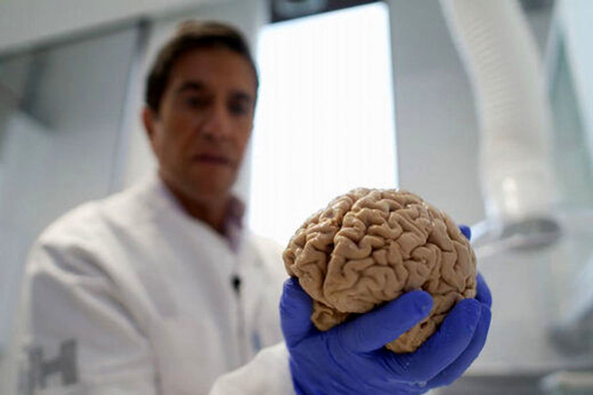آیا کشف ۱۰ هزار مغز انسان در یک زیرزمین صحت دارد؟! +تصاویر
