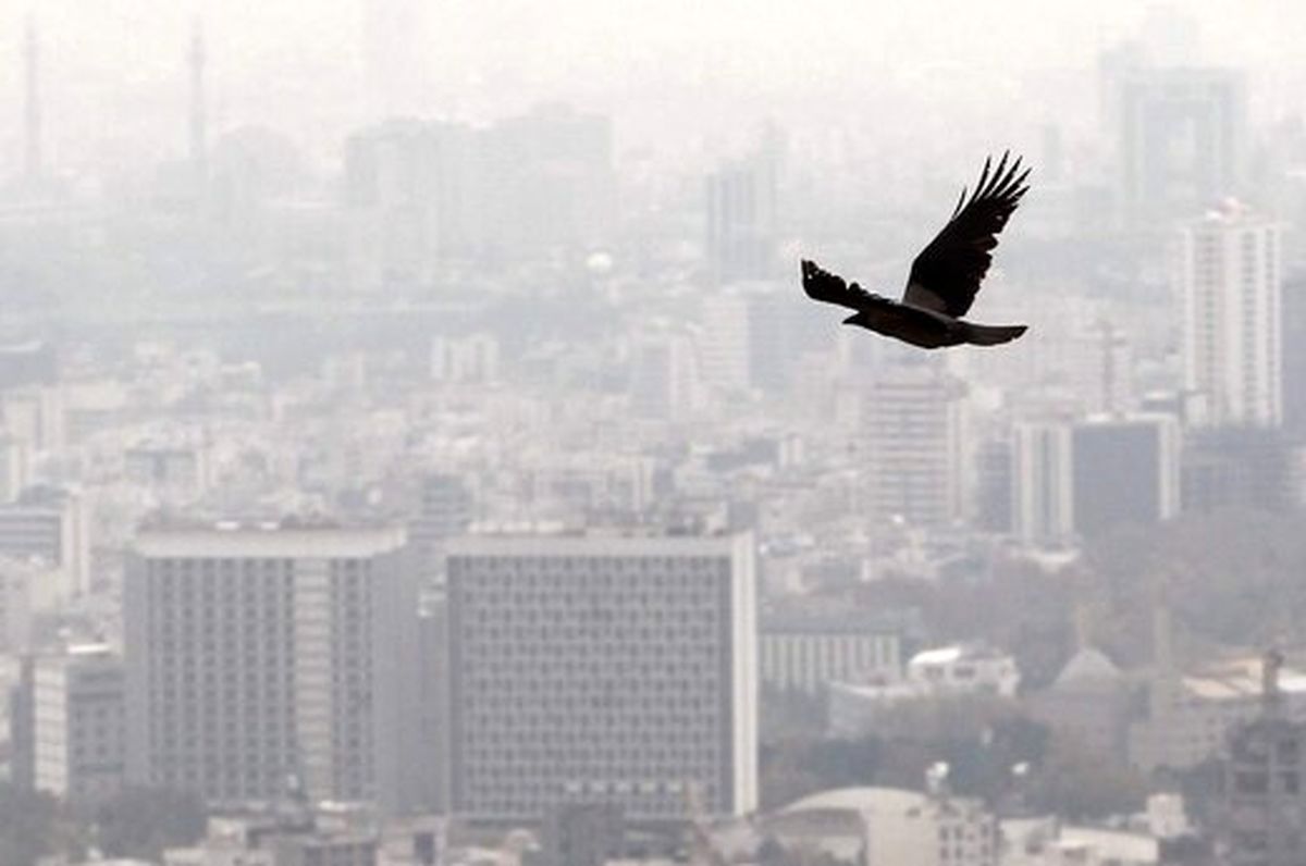 مرگ سالانه بیش از ۲۰ هزار تن از ساکنان ۲۷ استان کشور بر اثر آلودگی هوا 