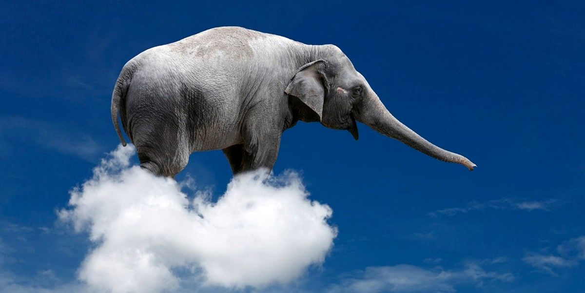 وزن کدام بیشتر است؟ یک گله فیل یا یک ابر در آسمان؟