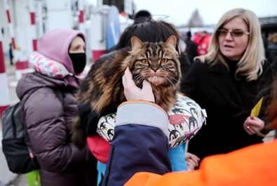 پناهجویان اوکراینی با حیوانات خانگی خود در مرز کشورها