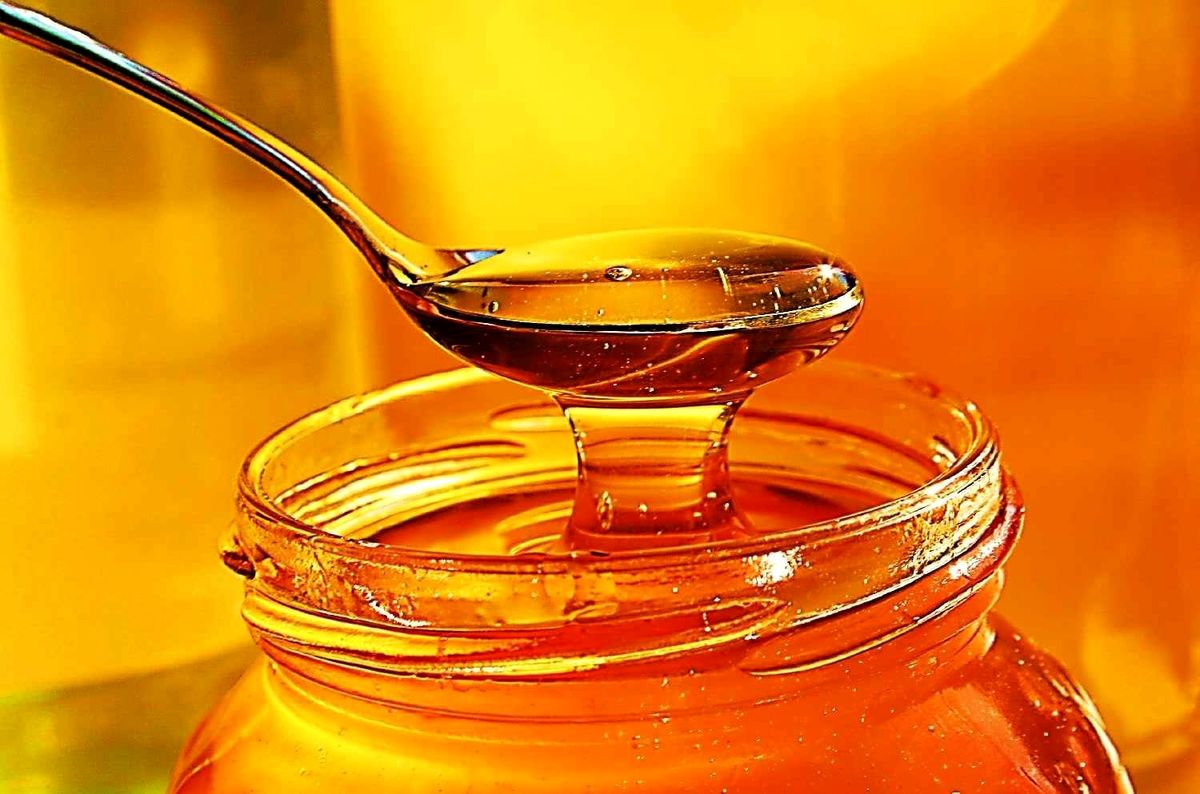 به این دلایل عسل را از برنامه غذایی خود اصلا حذف نکنید!