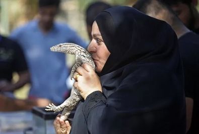 عکس با مار، عنکبوت و سوسمار در باغ وحش بغداد